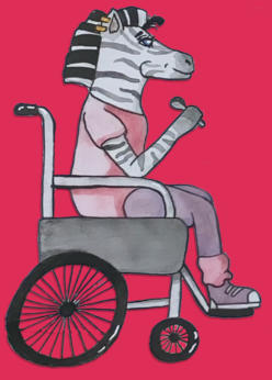 Wheelchair Zebra description of EDS