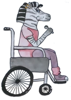 Wheelchair Zebra description of EDS